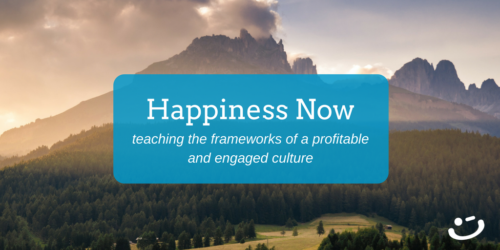 Delivering Happiness Model Frameworks Profitable Engaged Culture